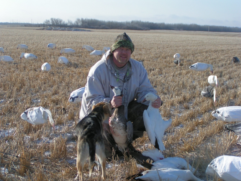 Spring Snow Goose hunt